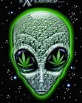 pic for Alien Weed